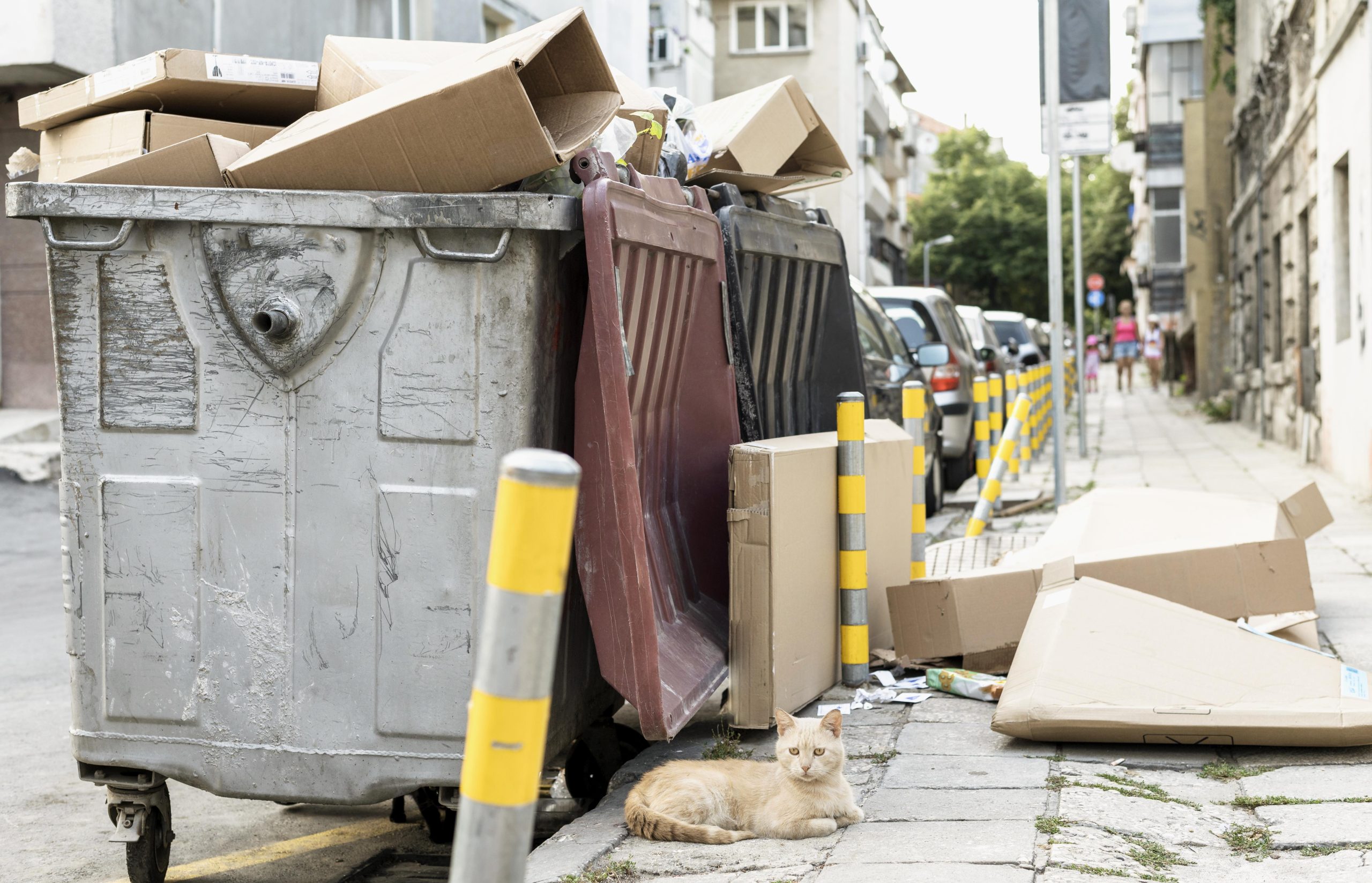 Trash Can and Dumpster Cleaning for Health & Safety